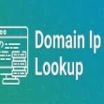 domain ip finder