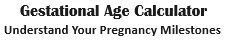Gestational Age Calculator